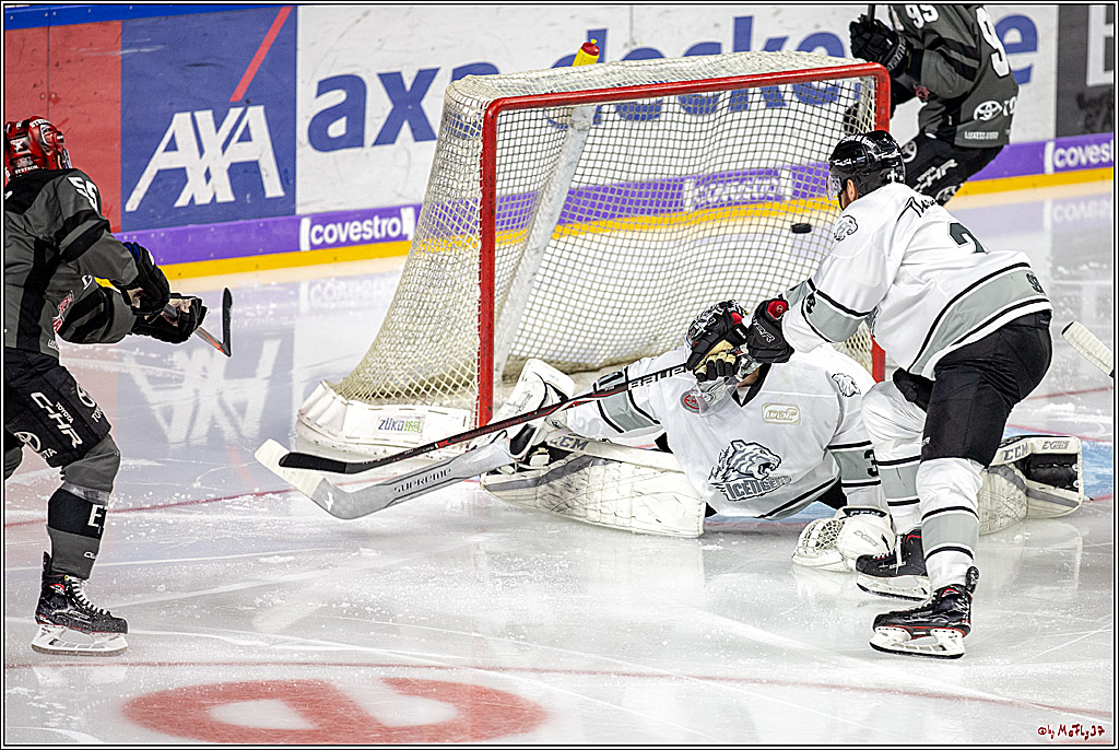 DEL; Koelner Haie - Thomas Sabo Ice Tigers, 28.11.2018